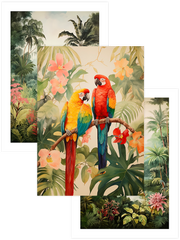 Tropical - Poster Seti Trio