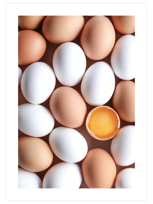 Eggs Poster - Giclée Baskı