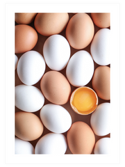 Eggs Poster - Giclée Baskı