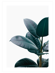 Yeşil Bitki Aşkı N1 Poster - Giclée Baskı